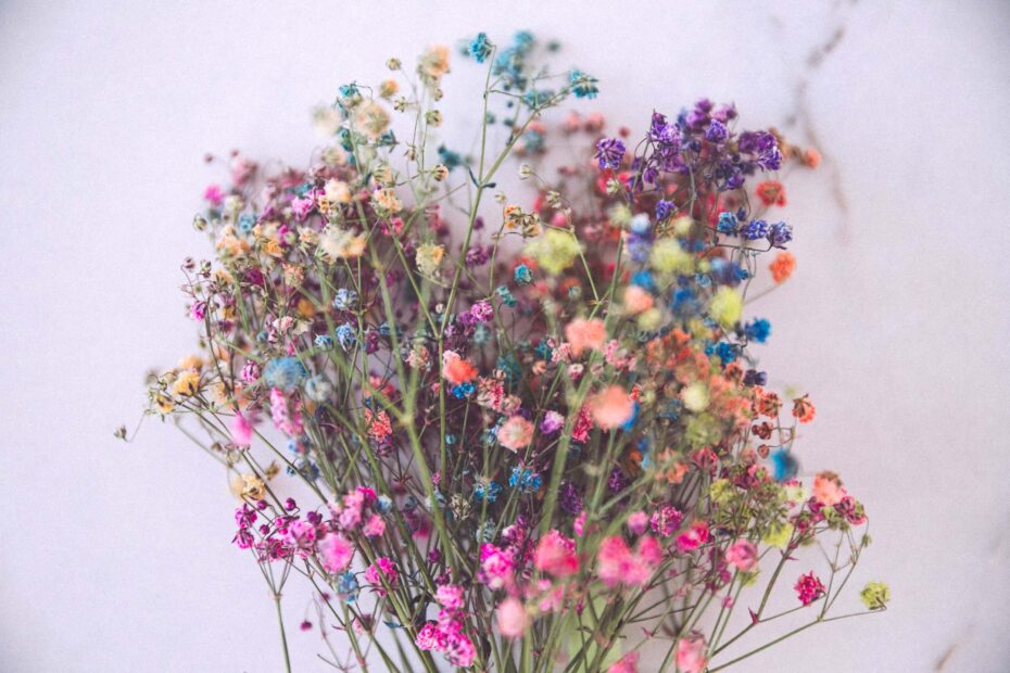 Spiritual colors meanings and symbolism | A spray of dyed baby breath flowers.